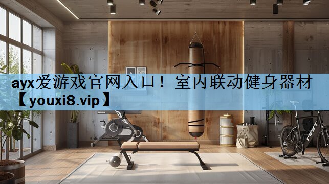 室内联动健身器材